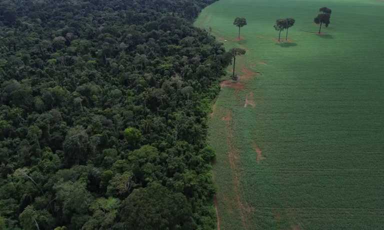 ONU: secas causam devastação recorde e Bacia Amazônica pode virar fonte de carbono