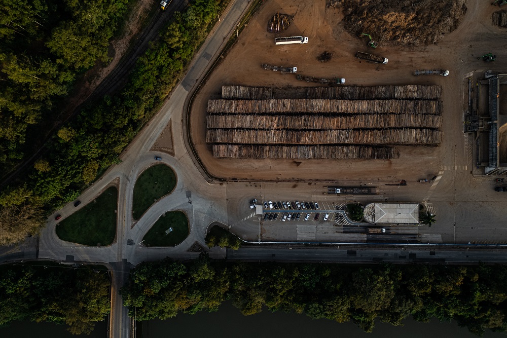 BBI: O que está fazendo as ações da Suzano caírem desde o fim de fevereiro?