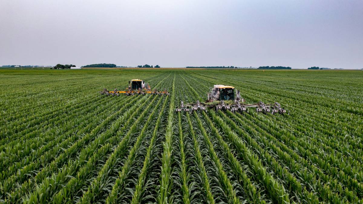 A imagem mostra uma área de agronegócios; crédito: banco livre de imagens.