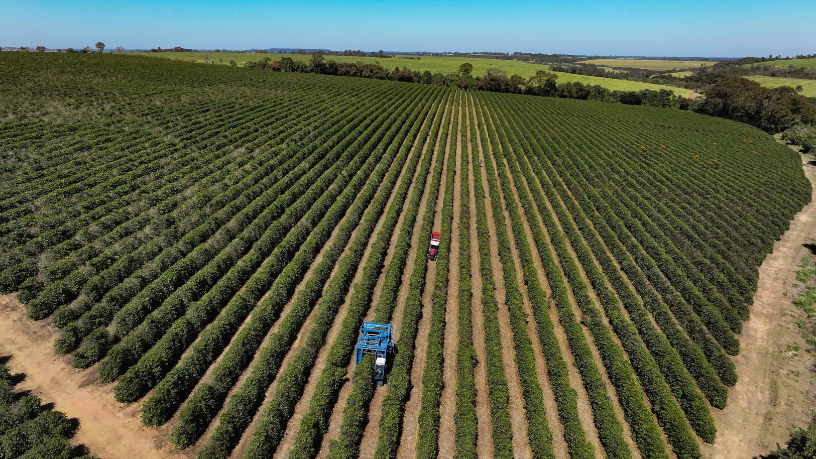 Associações de setores taxados pelos EUA acreditam em reversão da alíquota de 50%