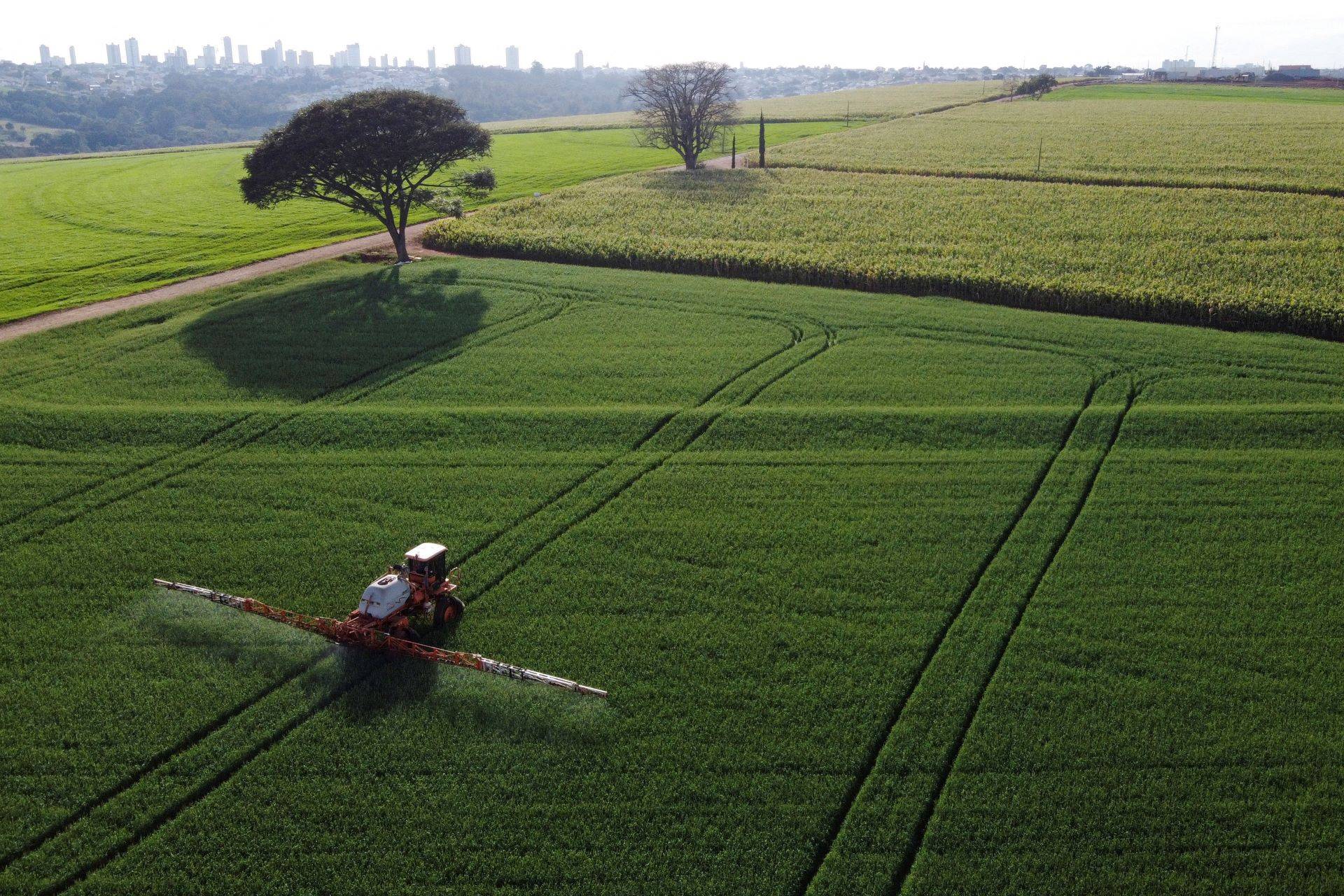 Como o El Niño impactou empresas agro no Brasil em julho?
