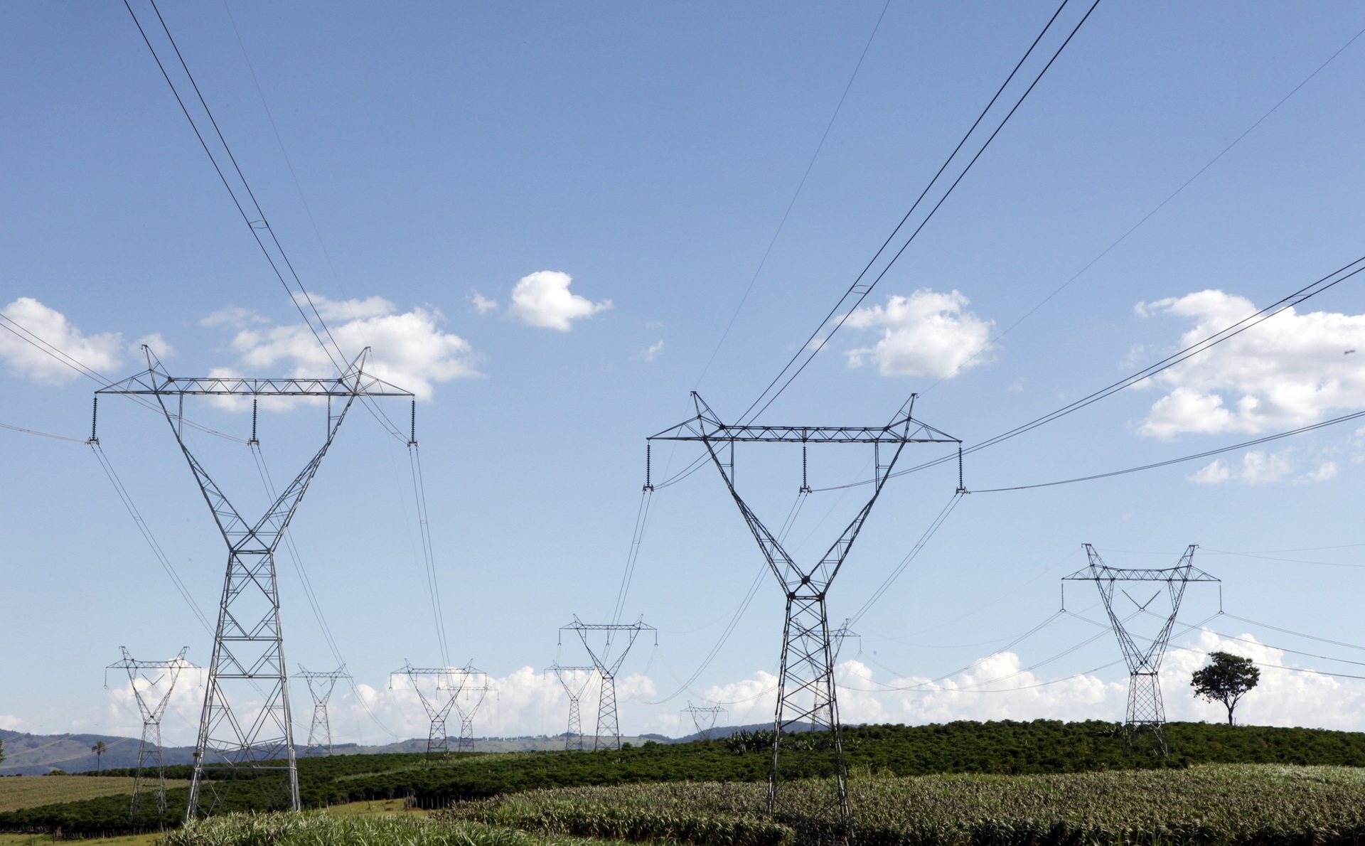 Linhas de transmissão de energia em Santo Antônio do Jardim06/02/2014 REUTERS/Paulo Whitaker