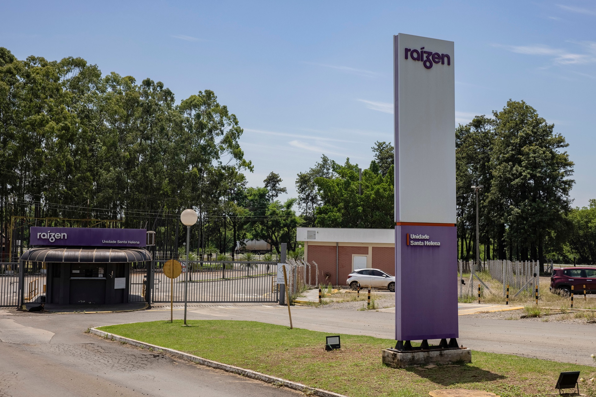 Raízen preservará investimentos em canaviais apesar de crise financeira