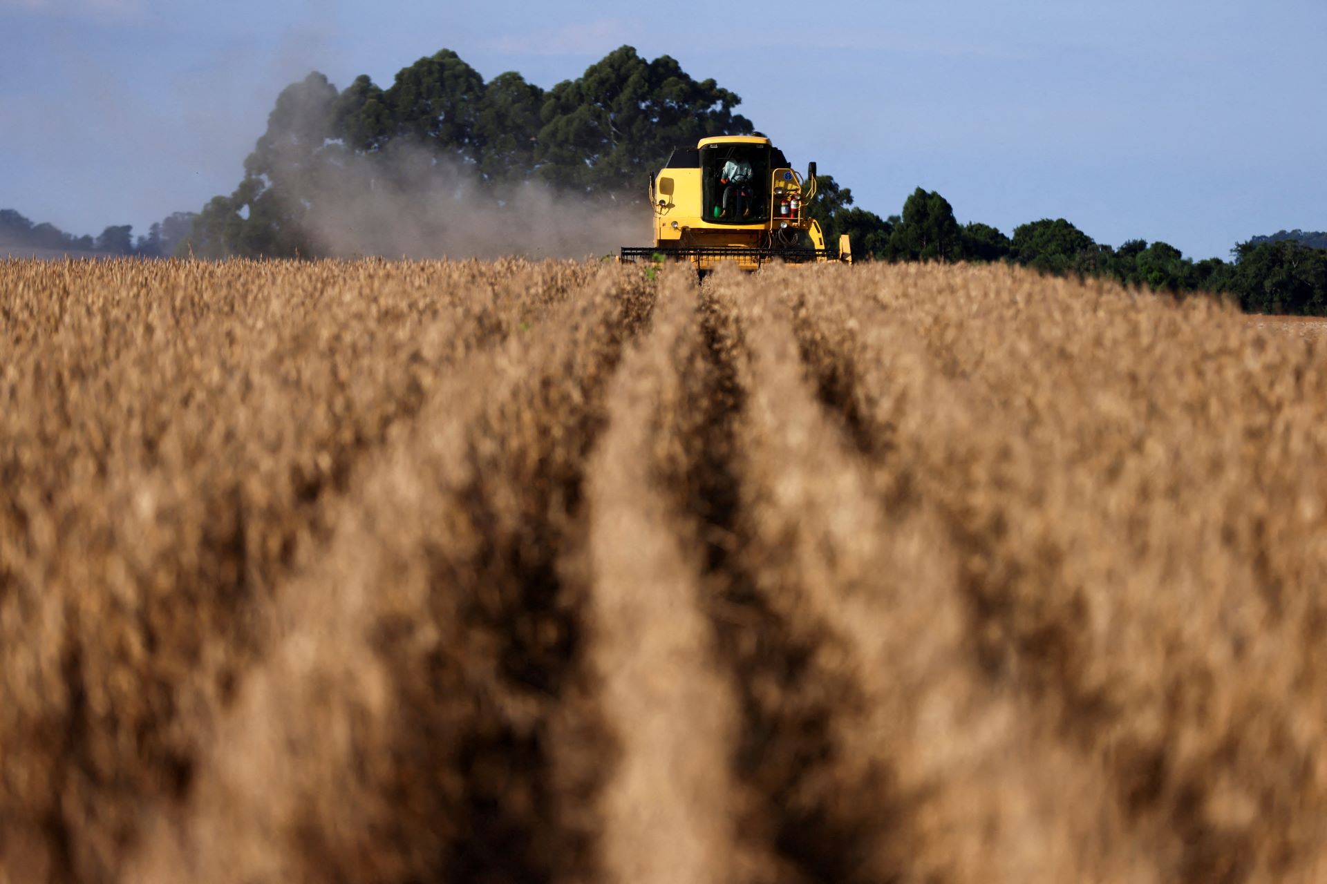 Agronegócio brasileiro em meio ao risco climático do El Niño 2026