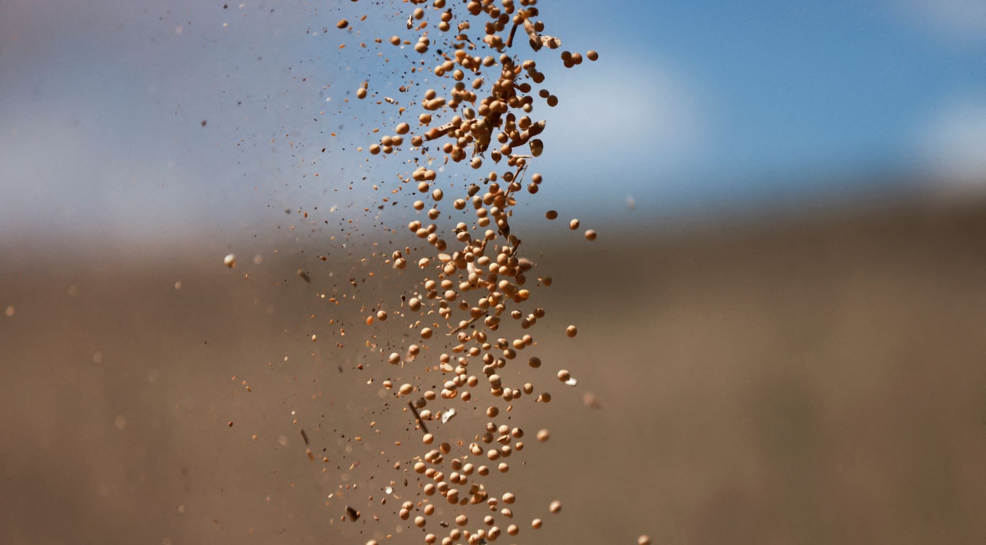 Soja atinge máxima de 4 meses em Chicago com esperança de acordo entre EUA e China