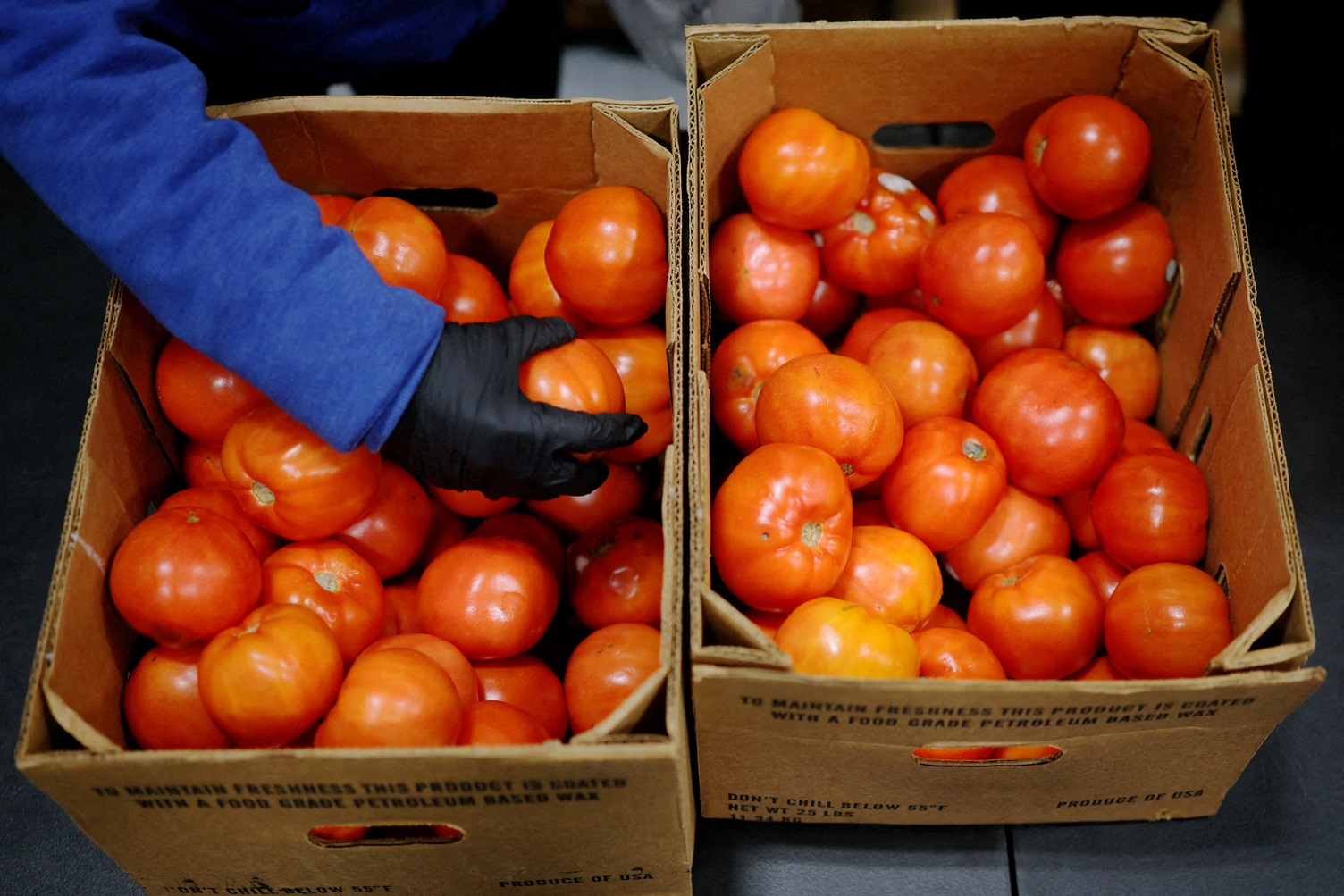 Juiz obriga governo Trump a pagar integralmente programa de auxílio alimentar