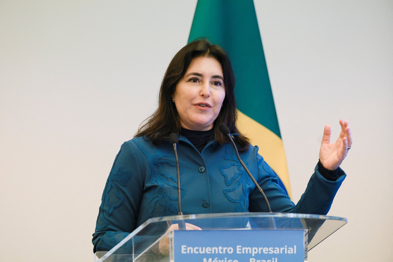 Ministra do Planejamento e Orçamento, Simone Tebet
27/08/2025
REUTERS/Henry Romero