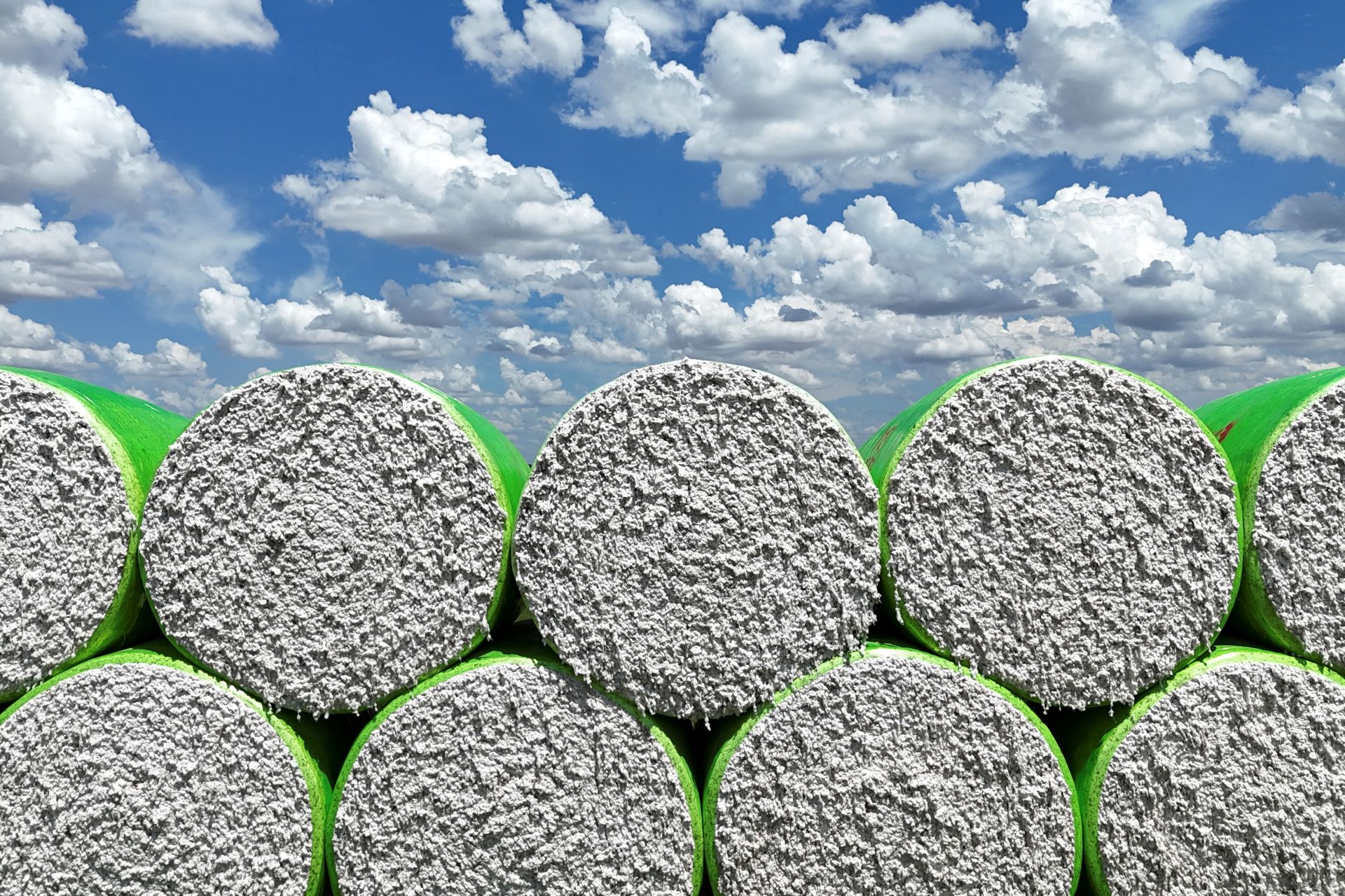 StoneX reduz em 1% previsão para safra de algodão 2025/2026 do Brasil