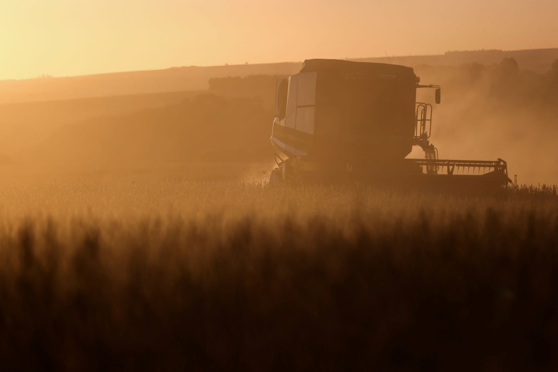 Exportação de soja do Brasil para China deve cair 10 mi t em 2026, avalia Anec