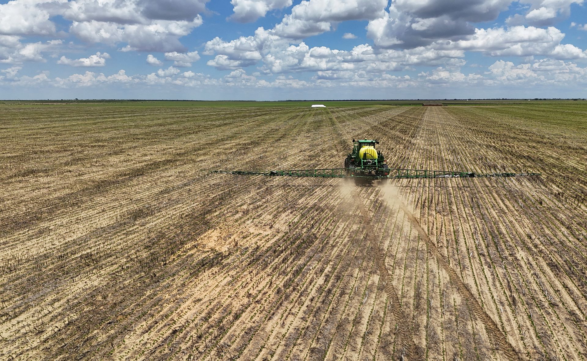 Excesso de soja na China pode acabar com esperanças de exportação dos EUA