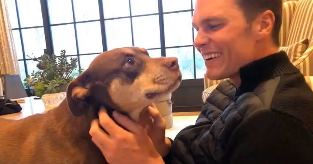 Tom Brady surpreende fãs ao revelar que clonou sua cachorra após a morte — e mostra o resultado psicologiasdobrasil.com.br - Tom Brady surpreende fãs ao revelar que clonou sua cachorra após a morte — e mostra o resultado