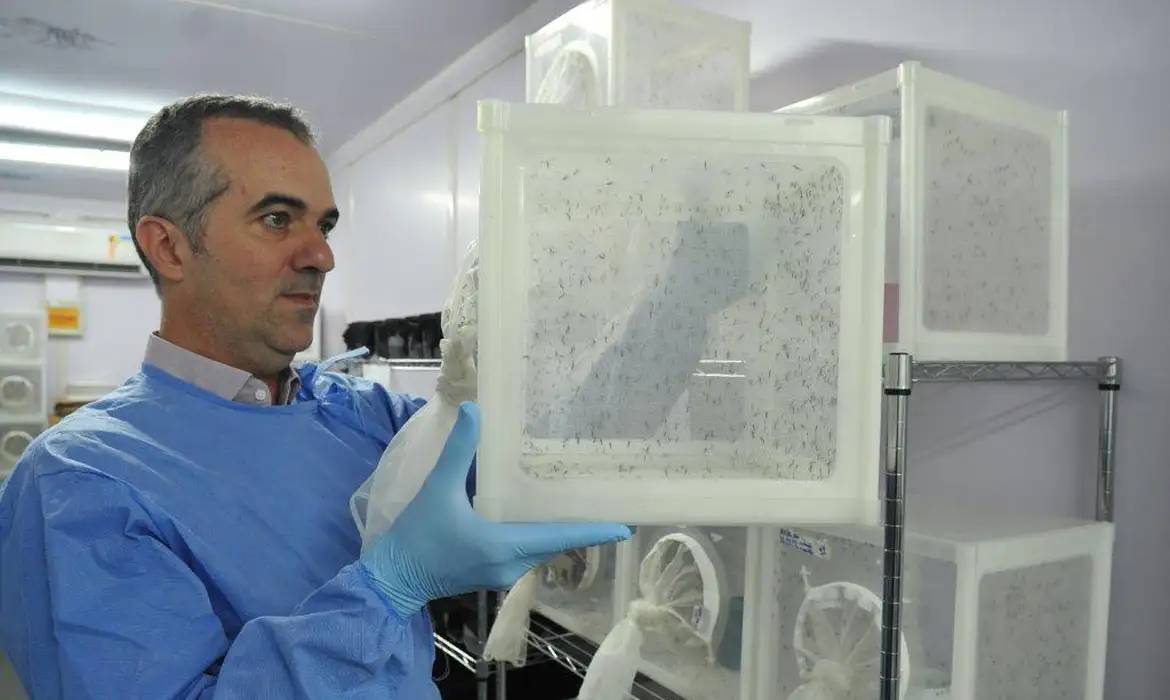 (Peter Ilicciev/WMP Brasil/Fiocruz)