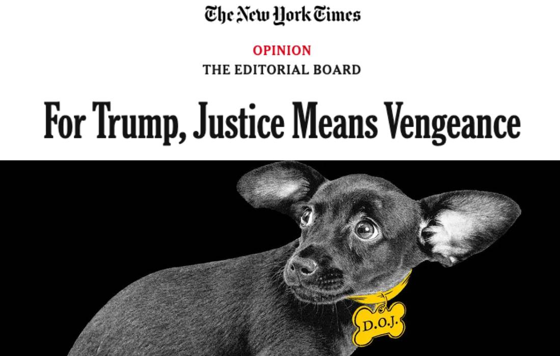 Reprodução/NYT