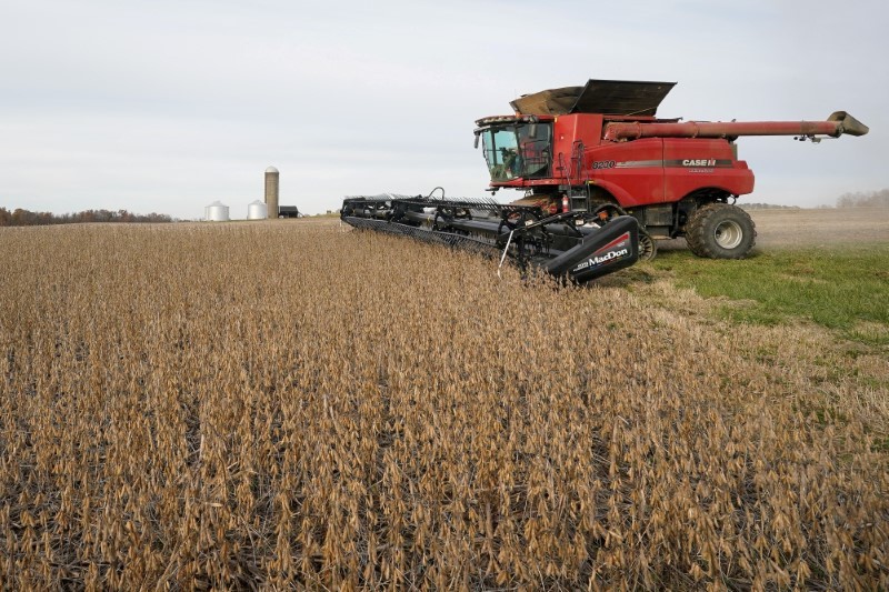Produttori agricoli brasiliani monitorano il 2T26 con previsioni di crescita limitata e impatto del Niño