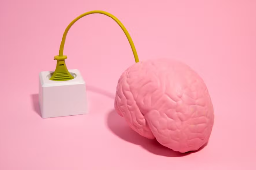 Bactérias intestinais podem viajar para o cérebro via nervo vago
