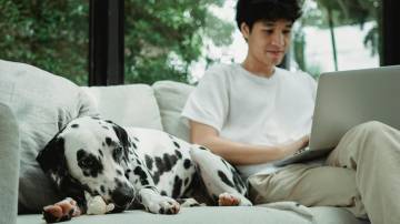 O híbrido vira benefício — mesmo com a volta aos escritórios ganhando força