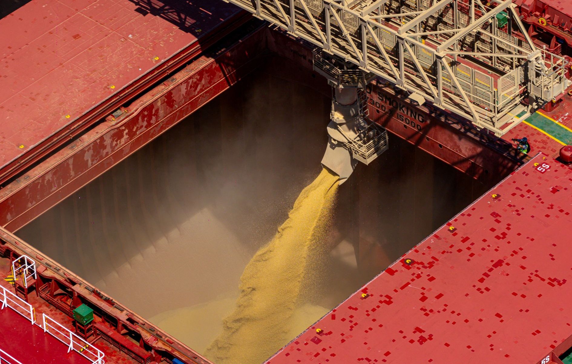 PIB da cadeia de soja e biodiesel deve avançar 6,87% em 2026, aponta estudo - QTU Questões do Universo