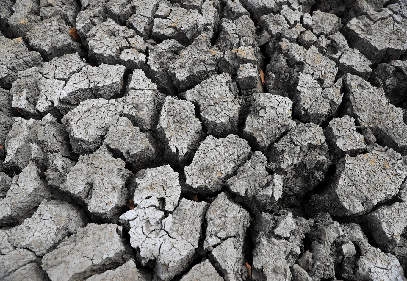 Um El Niño poderoso está chegando — e a história indica que ele deve causar estragos