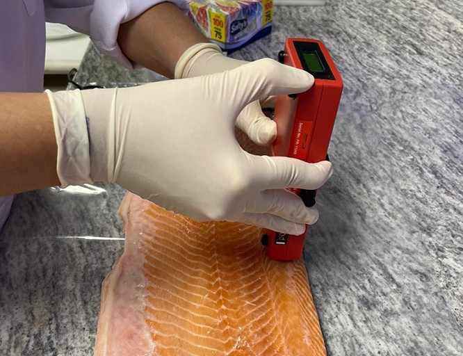 Embrapa produz em laboratório salmão, caviar e anéis de lula veganos