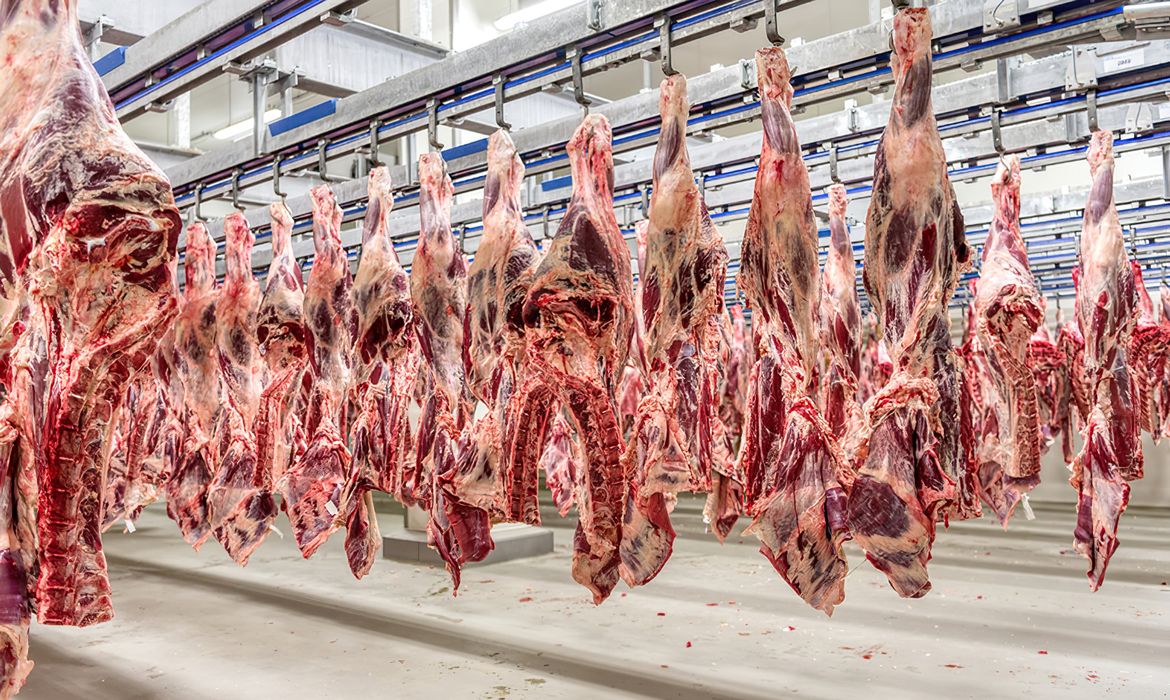 Embargo da UE a produtos animais afeta US$ 1,8 bi em vendas do Brasil - QTU Questões do Universo