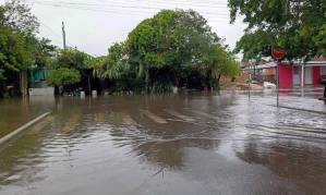 Temporal no RS deixa desalojados e causa danos em 19 cidades