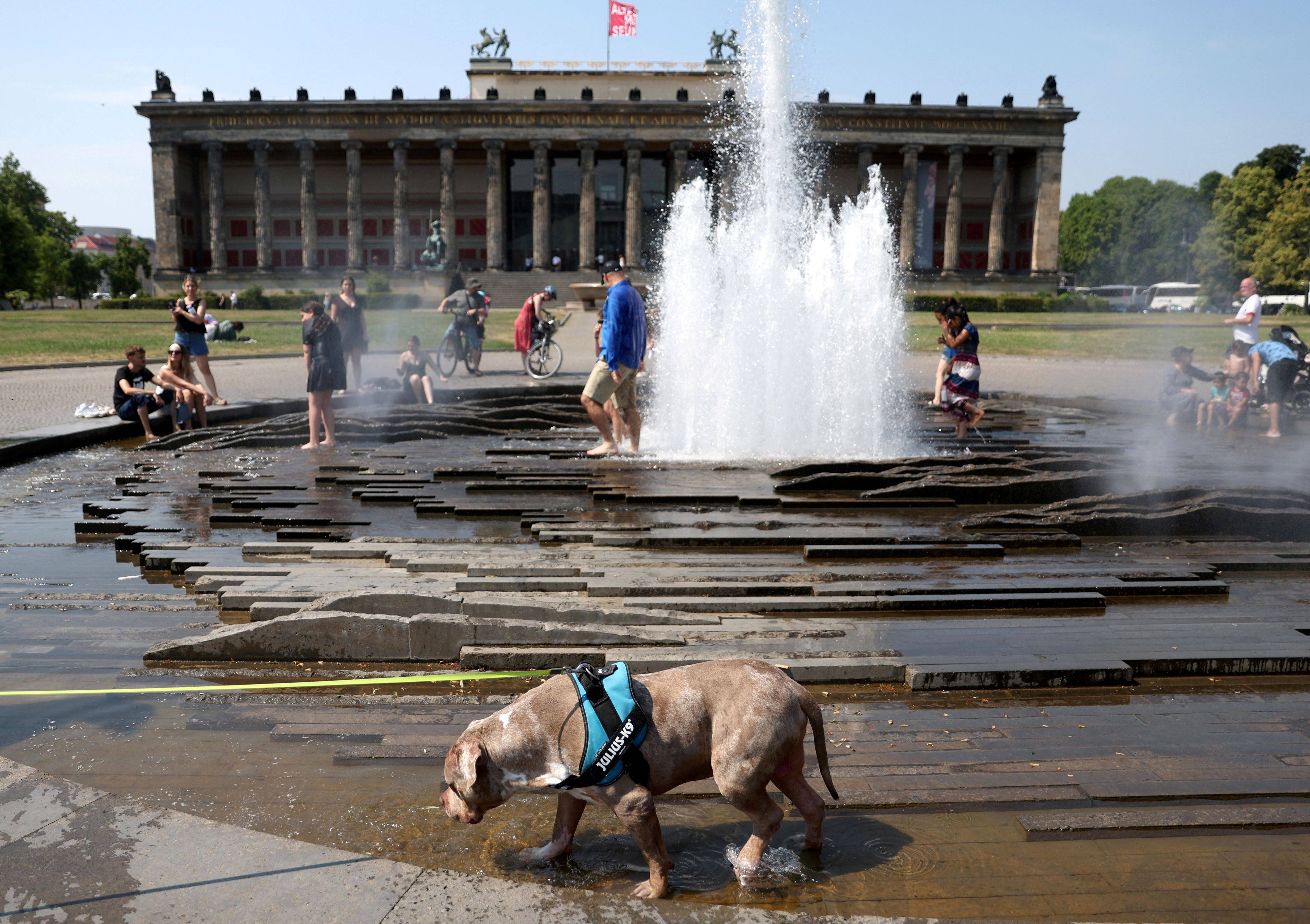 Calor derrete asfalto e para operação de transporte público em cidade da Alemanha