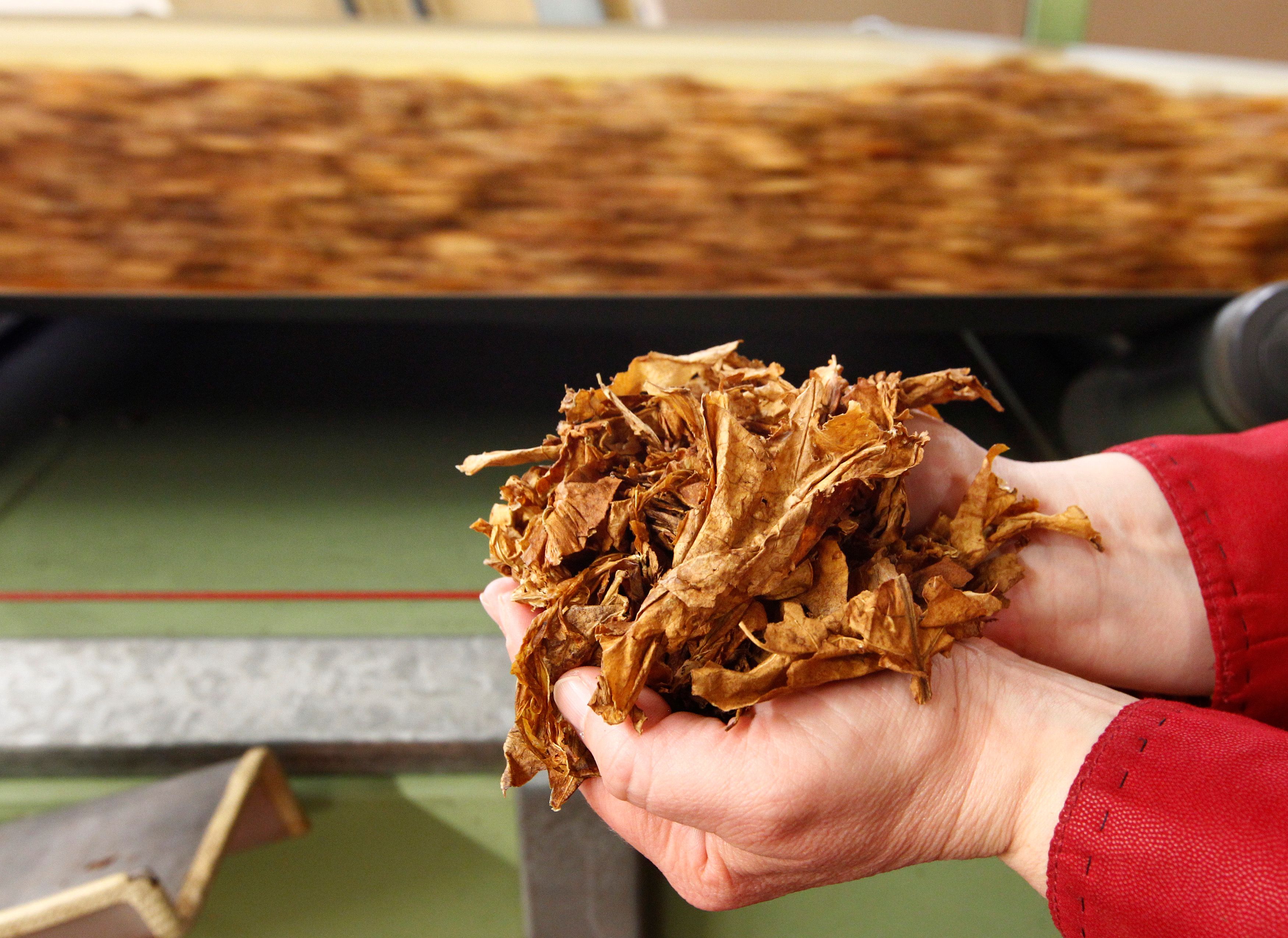 Indústria do tabaco estima perdas de até US$ 100 mi com tarifaço dos EUA