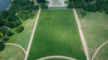 Grande traçado do termo 8647 no terreno do National Mall em Washington 11 de junho de 2026