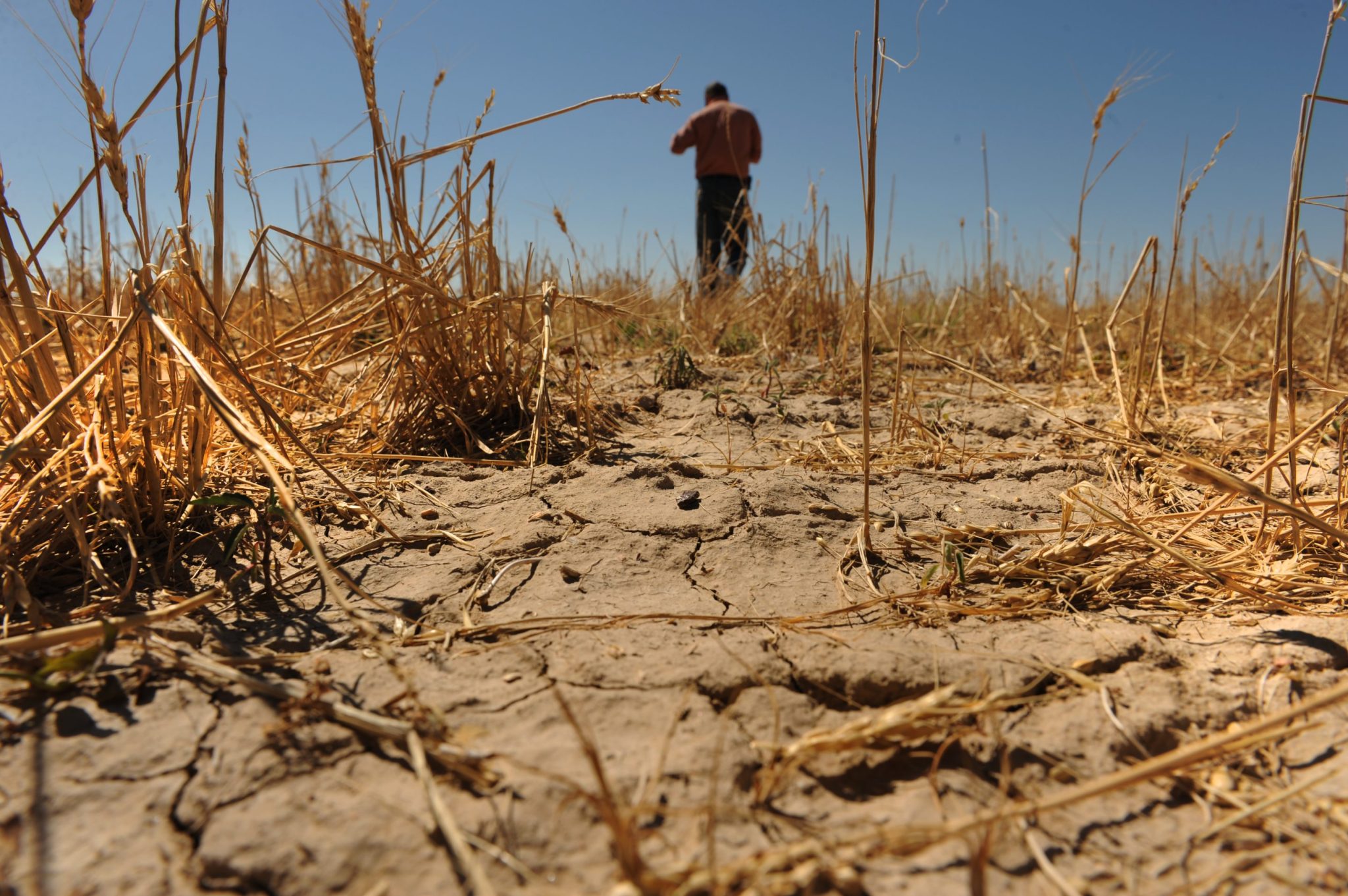 Um dos El Niños mais fortes custou US$ 5,7 trilhões ao mundo, e 2026 pode ser pior