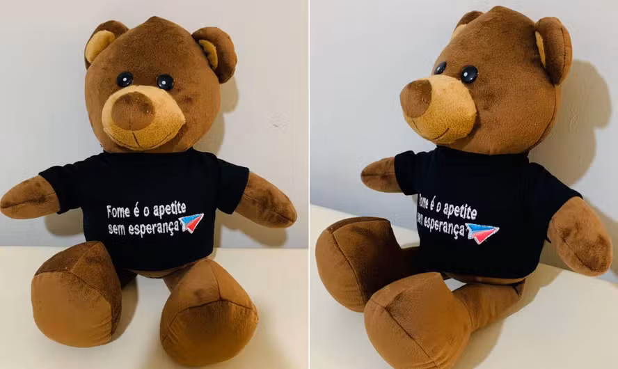 Ursos comprados por Michele Montenegro em nome de ONG de São Paulo (Foto: Reprodução)