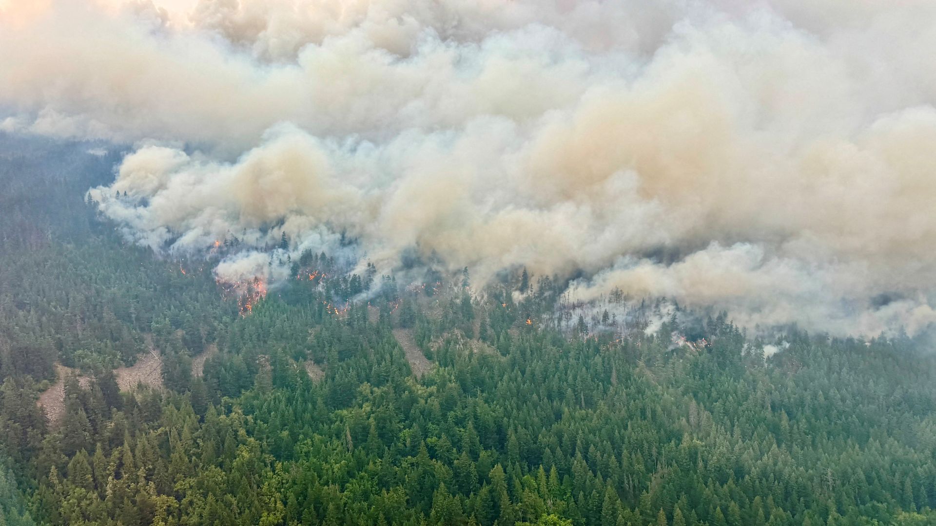 Canadá se prepara para evacuar comunidade em Ontário enquanto incêndios sufocam EUA