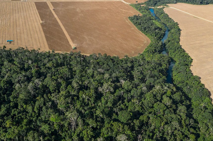 STF adia decisão sobre licenciamento ambiental; o que está em jogo para empresas?