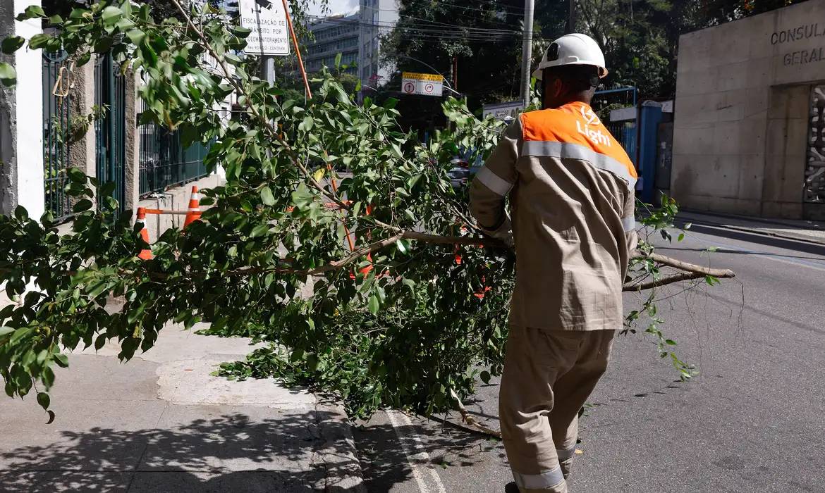 Ventania pode causar queda de árvores (Foto: Tânia Rêgo/Agência Brasil)