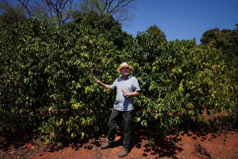 Exportações de café do Brasil superam 4 mi de sacas, recorde em agosto, diz Cecafé