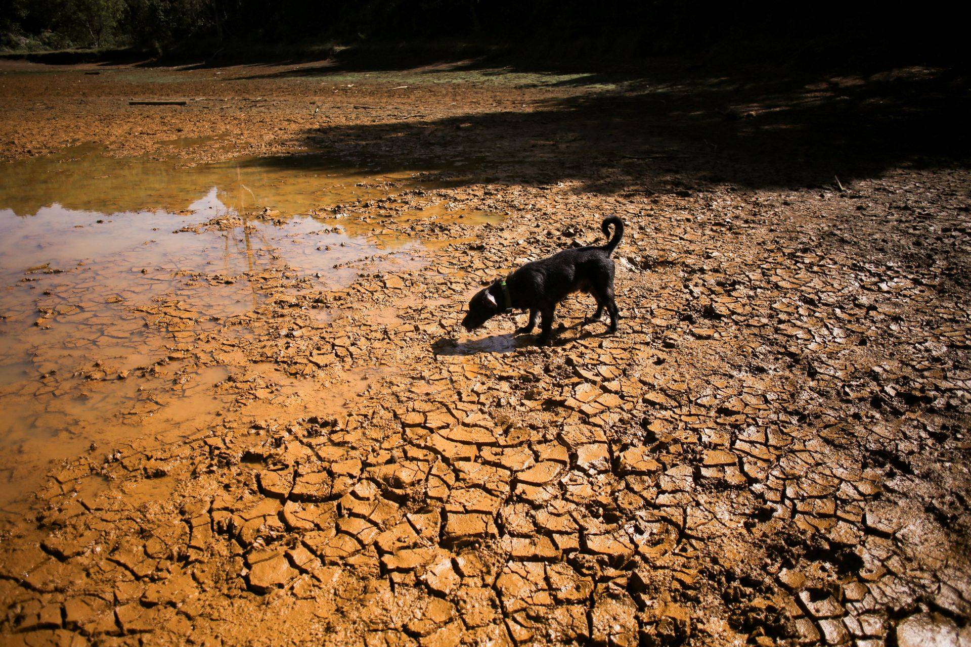 Super El Niño eleva riscos em um mundo com ciclo de água já errático, diz OMM