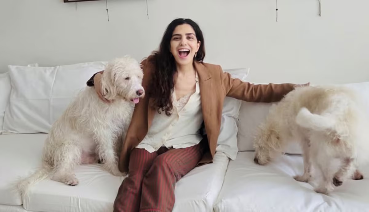 Entenda o novo capítulo da briga na Justiça pelo cachorro da atriz Letícia Sabatella