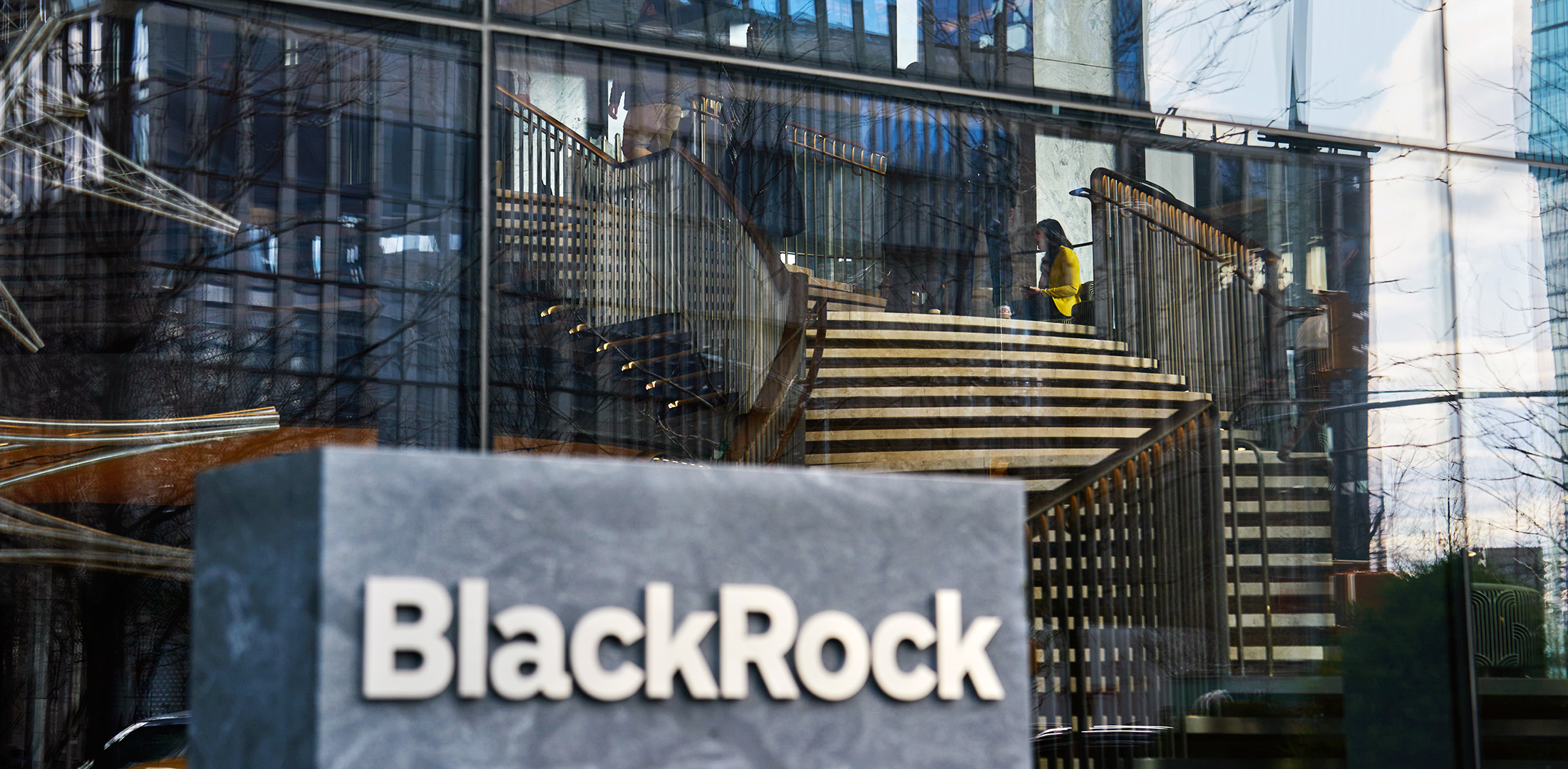 BlackRock aposta em títulos dos EUA após seis anos