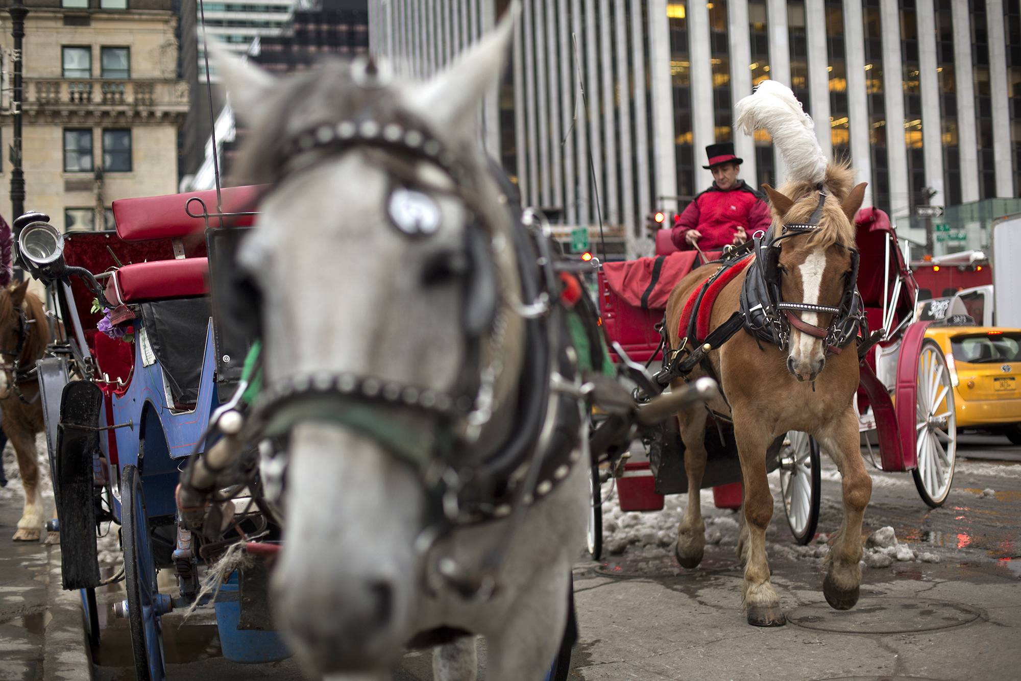 Tradicional atração turística de Nova York pode chegar ao fim em 2028