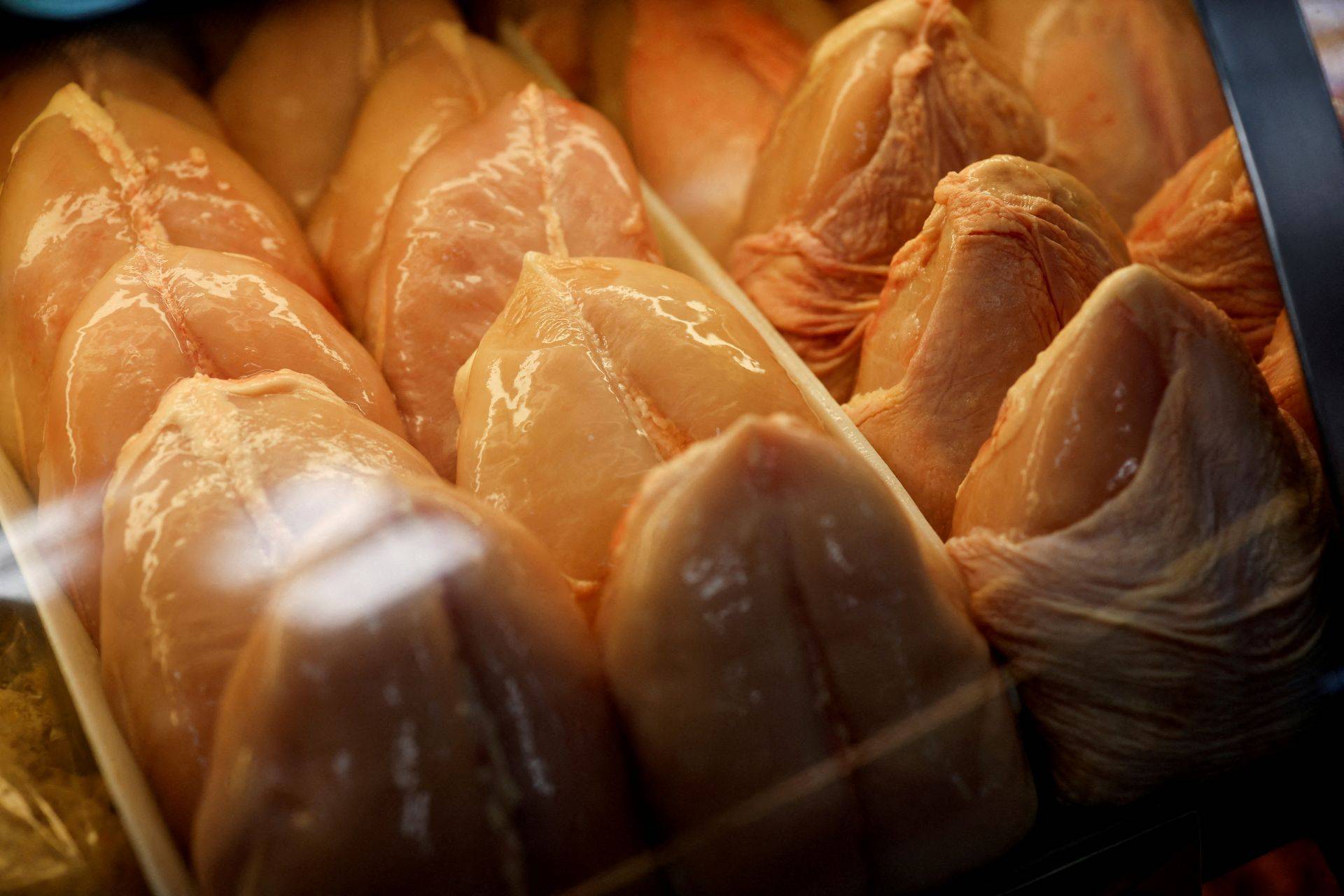 Exportação de carne de frango do Brasil cresce com antecipação de cargas para UE