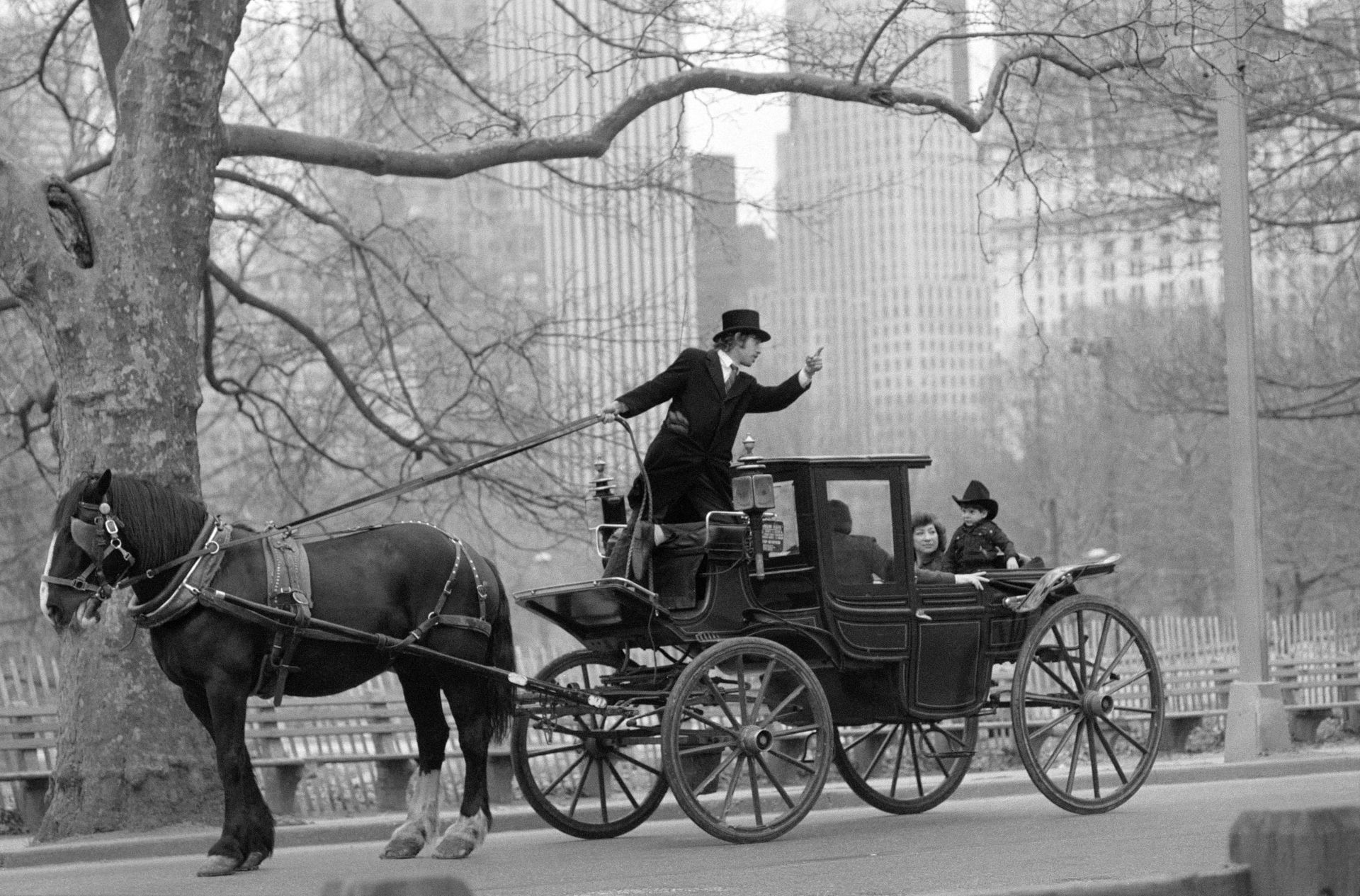 Nova York aprova proibição de carruagens no Central Park a partir de 2028 - Foto